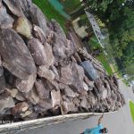 Pedra Caverna De Pirenópolis — Quartzito Escuro Para Muros Pedra Caverna de Pirenópolis — foto 14
