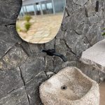 Pedra Bossa Nova Nero de Pirenópolis — foto 11